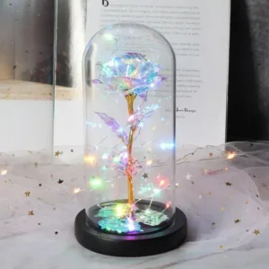 LED Rose Lamp in Glass Dome
